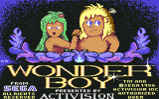 Wonder Boy screenshot 3 for Commodore 64